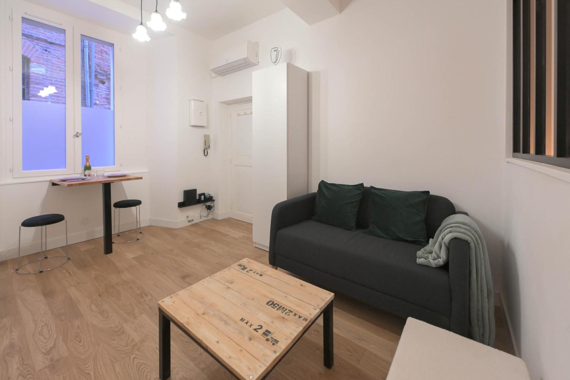 Appartement T1 Bis L'Enfilade アルビ エクステリア 写真
